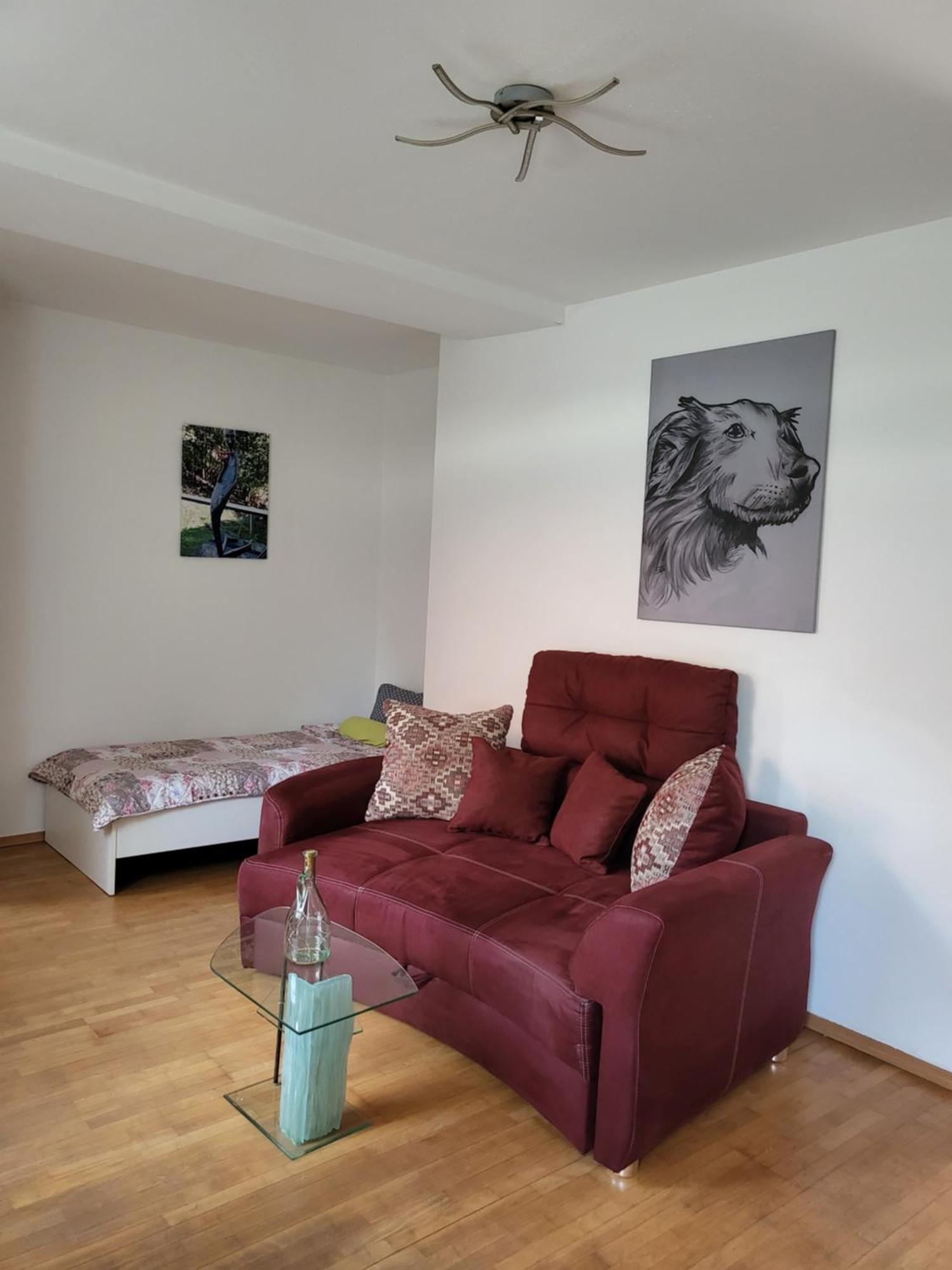 Appartement Purzel マウアーバハ エクステリア 写真